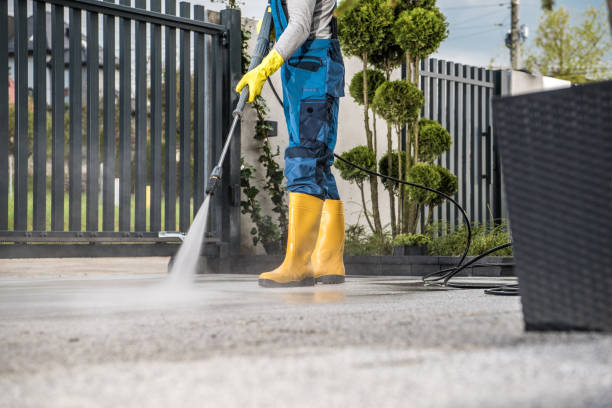 Best Sidewalk Pressure Washing  in Oak Grove, MN