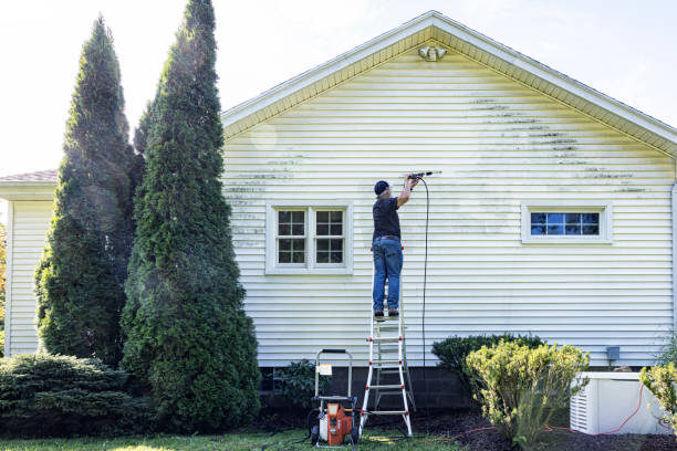 Best Exterior Home Cleaning  in Oak Grove, MN