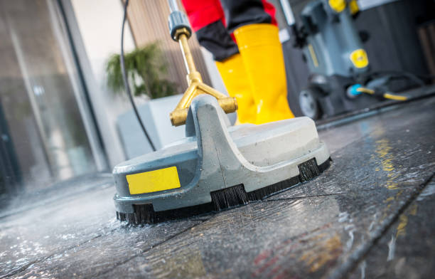 Best Roof Pressure Washing  in Oak Grove, MN