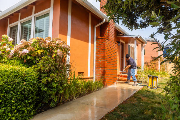 Best Roof Power Washing Services  in Oak Grove, MN