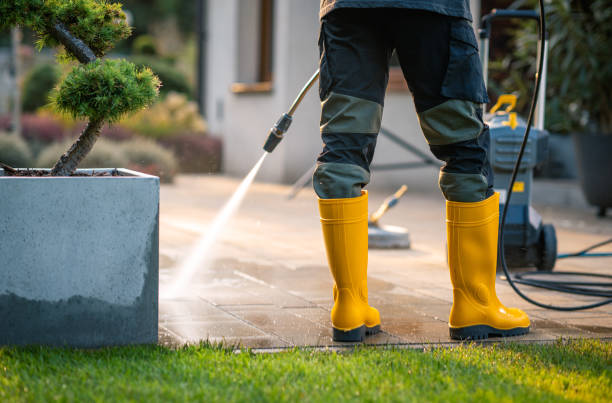 Best Best Pressure Washing Companies  in Oak Grove, MN